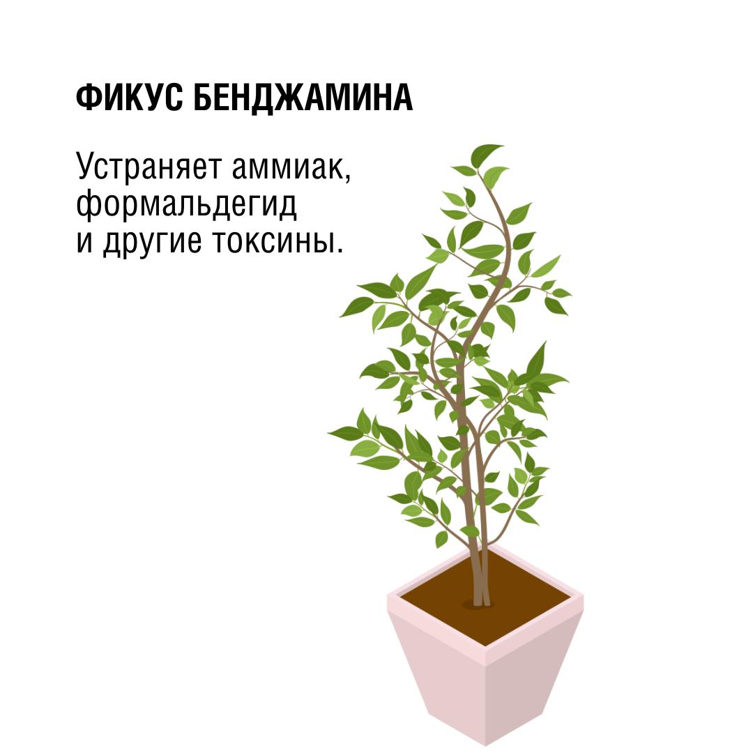 57f035a7-495d-4cbd-9b02-2e3f4de55baf.jpg