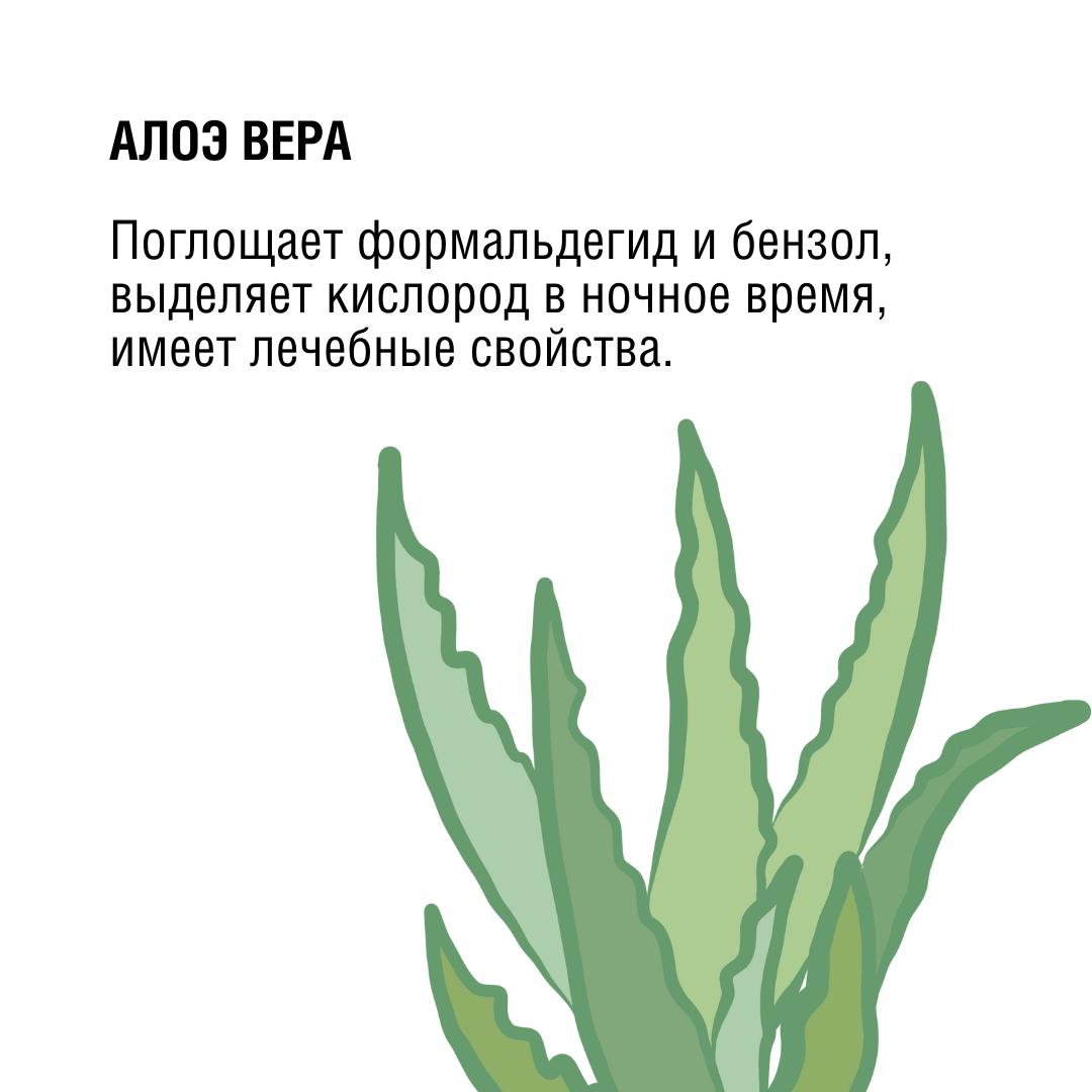 8d507300-decd-4fa2-90ed-bf4718205378.jpg