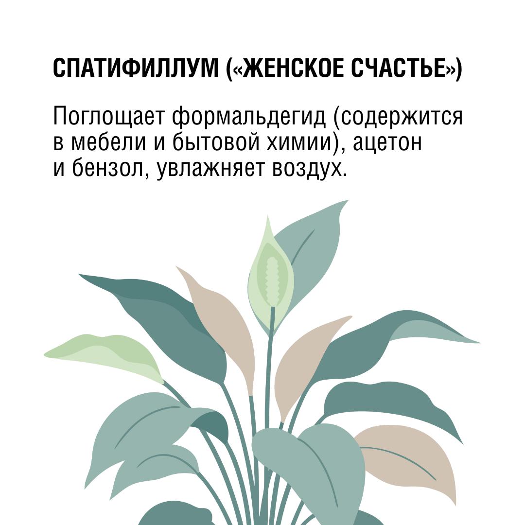 ecb929a8-8c08-4893-aa2f-2b036e295a8f.jpg