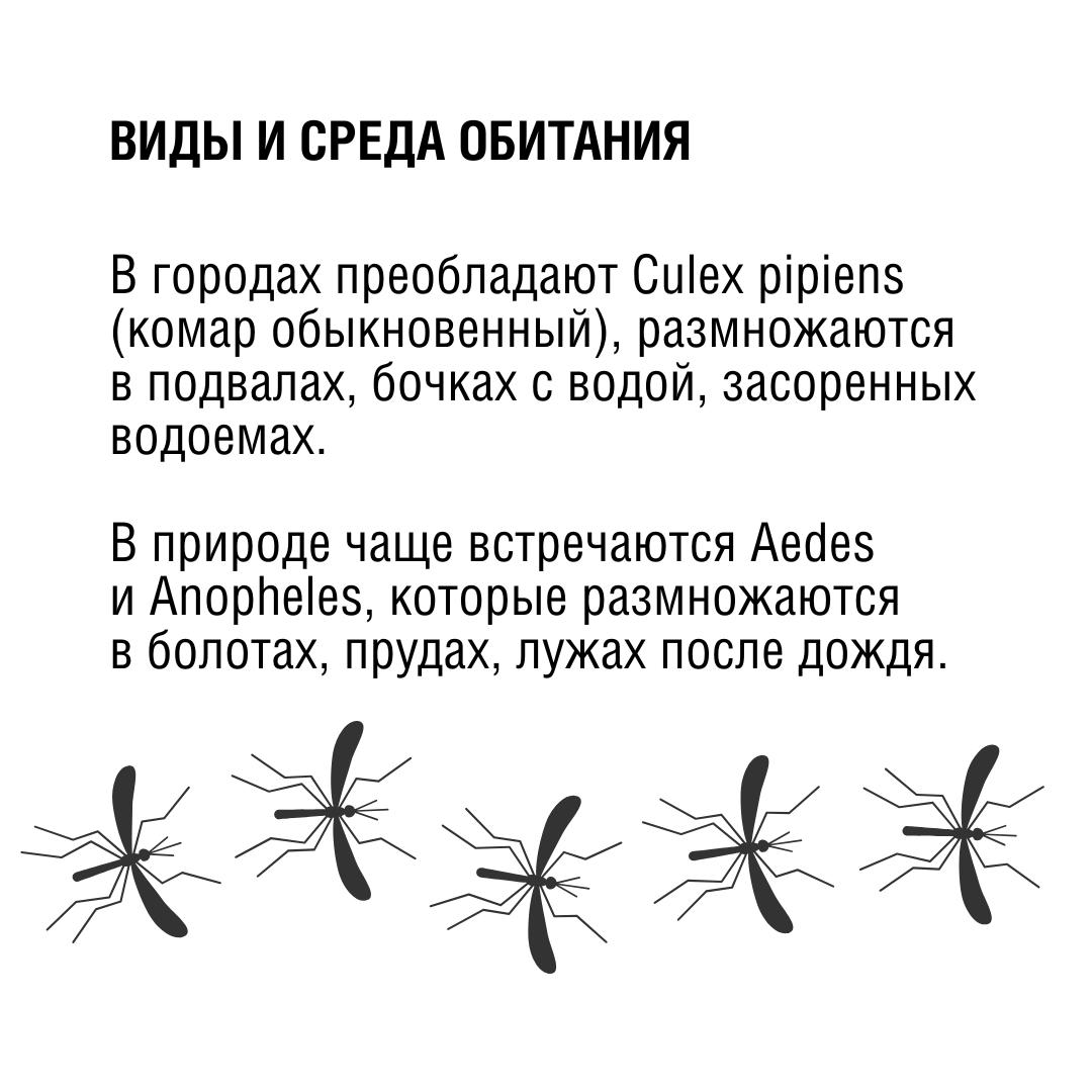 3acadbf8-54b1-40b5-9621-62d4d80f4fed.jpg