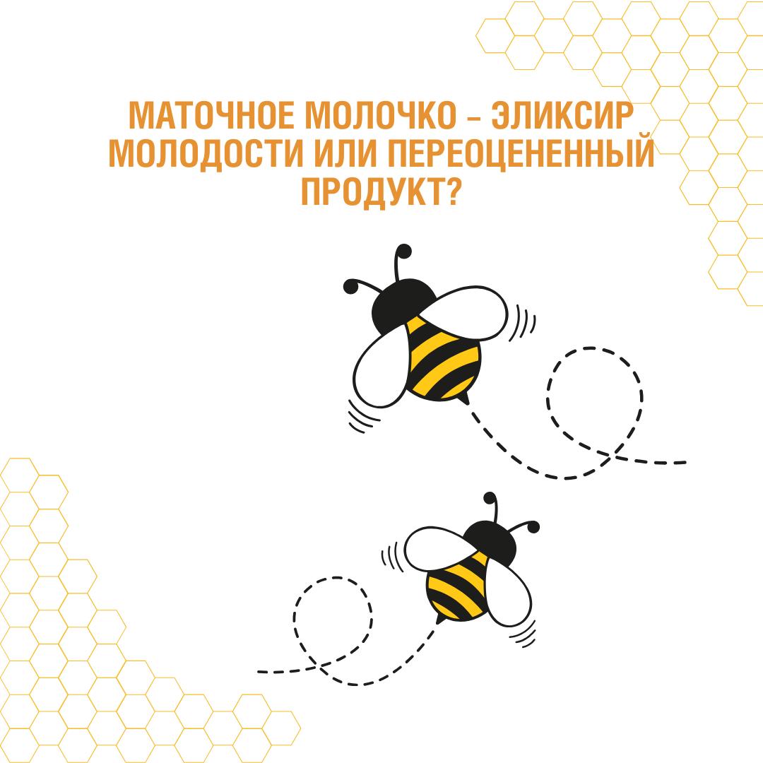 4114f538-bbeb-499d-bfc3-ea2f7c857ab0.jpg