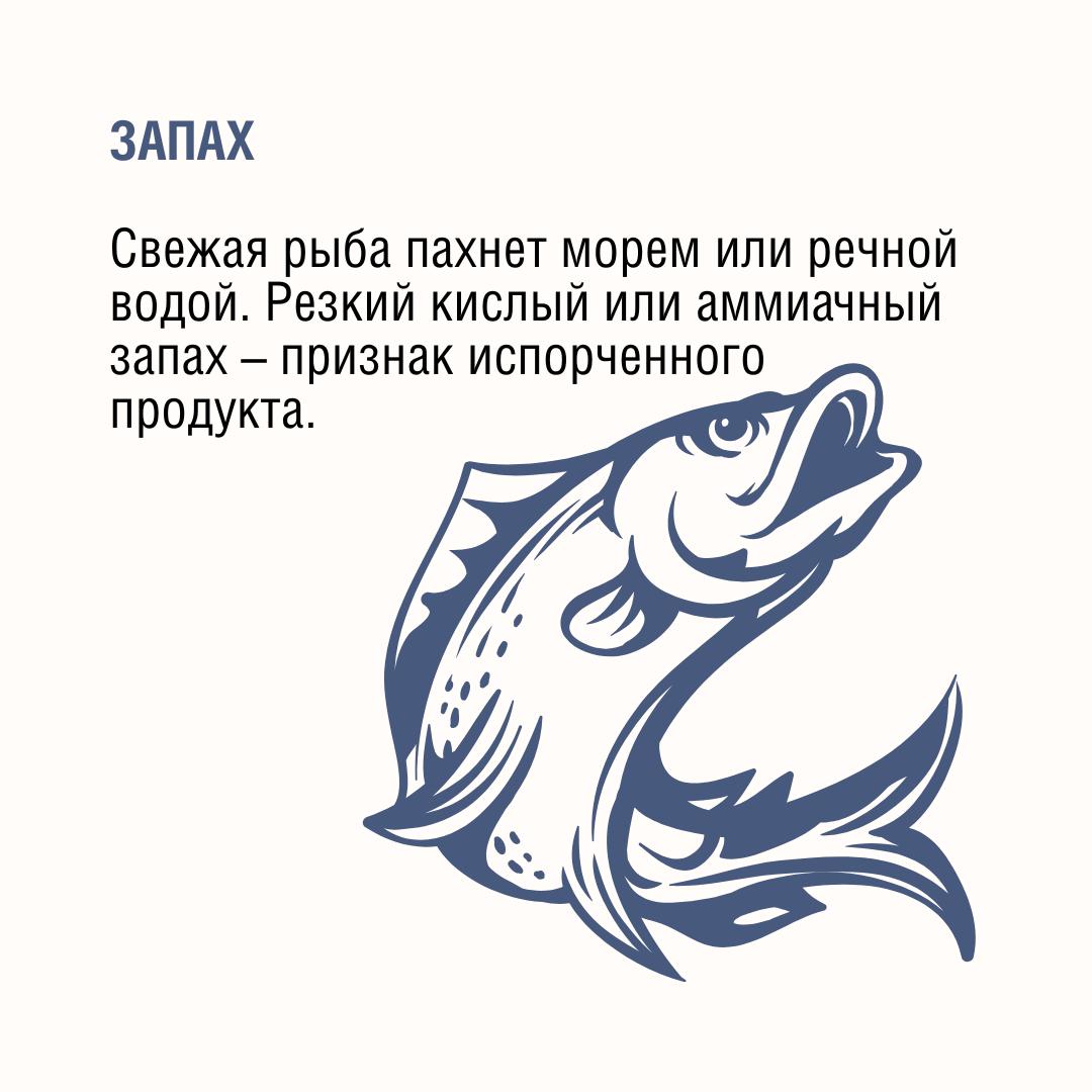 521f71f9-8739-4c3a-b1a5-2647b456839c.jpg