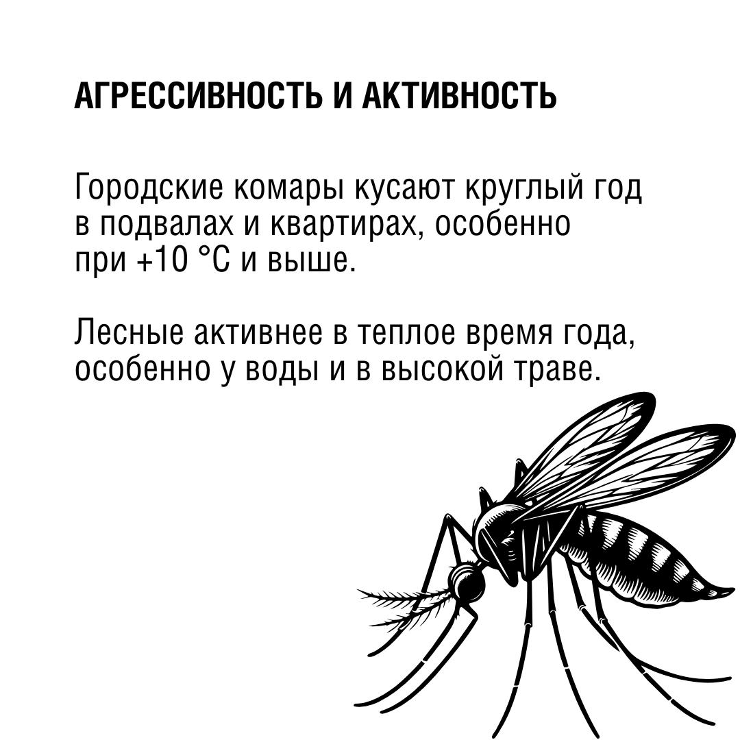 8114345d-2675-4975-a71b-a65923484013.jpg