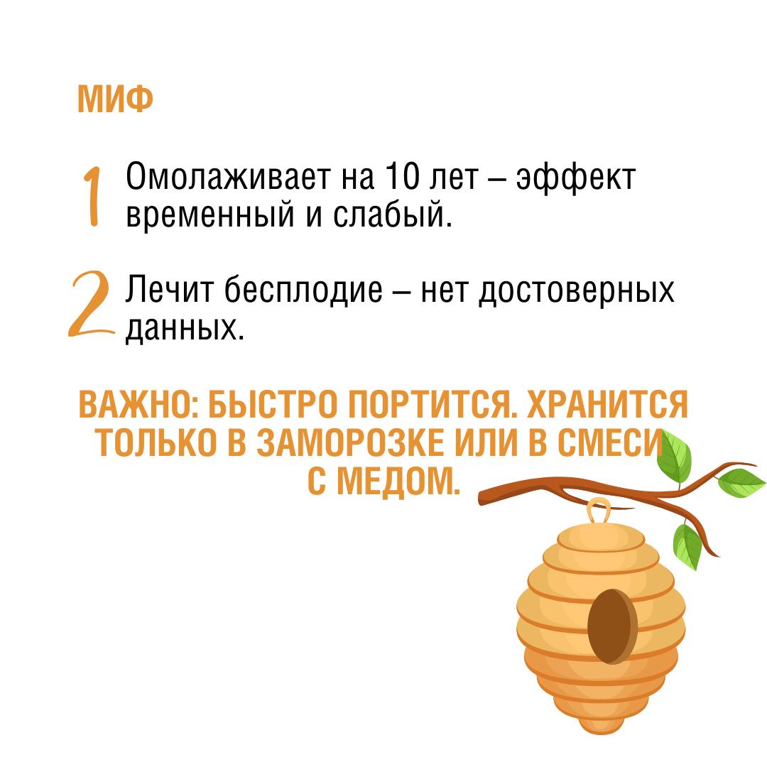 8fd79dd2-7e82-42f4-8904-90d701331c9c.jpg