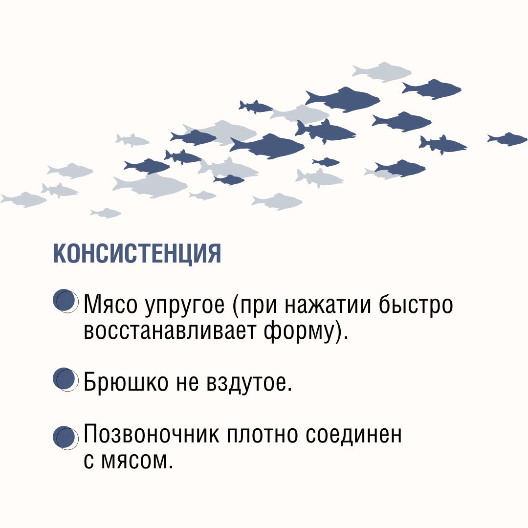 9d604a96-223f-43af-a3f2-081b1d6d8ac0.jpg