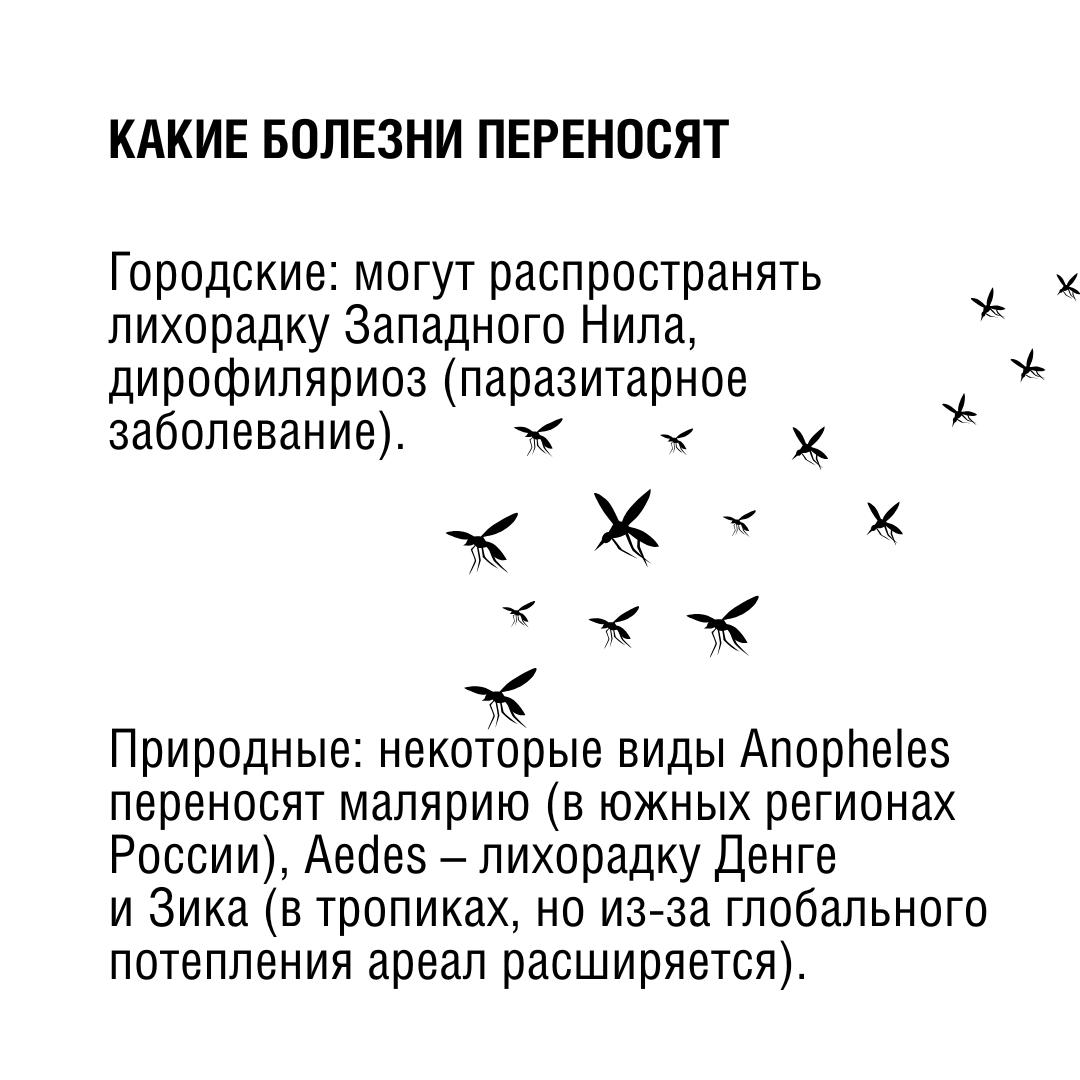 b02968ae-7e46-4899-aa4e-b36da7236c27.jpg