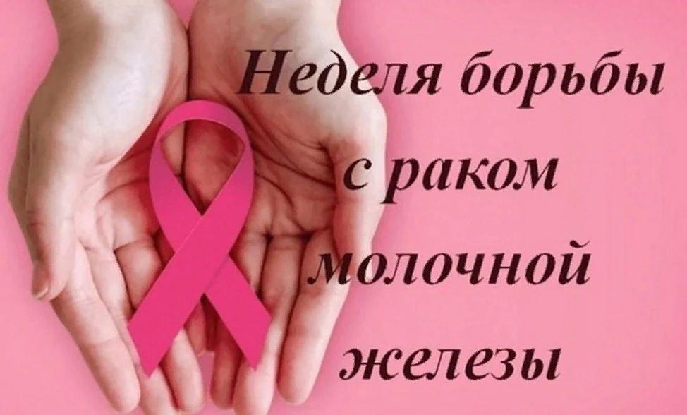 IMG 20261018 094056 628